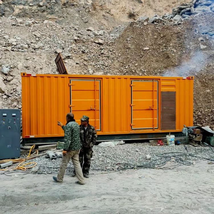 嘉鱼如何选择适合自己的 800KW 柴油发电机组？